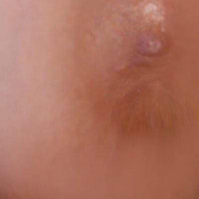 Foto /Public/Images/UploadedImages/pagine/3/unnamed_17.jpg